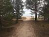 M�ndjala Forest House