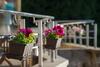 Hotel Holstre-polli Holiday Centre