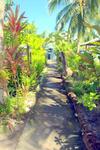 Hotel Cosmic Crab Resort At Careening Cay