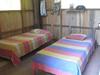 Hostal Lodge Jungle Wolf Expeditions