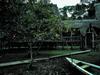 Hostal Lodge Jungle Wolf Expeditions