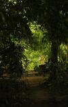 Hostal K'erenda Homet Reserva Natural