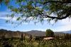 Hostal Miraluna Caba�as