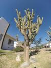 Hostal Qhawana Complejo