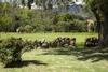 Hostal R�quira Silvestre Lodge