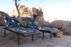 Moringa Safaris Kub Mus
