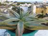 Jardim Dos Alo�s Boutique B&B
