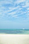 Hostal Whale Shark Inn