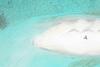 Hostal Akasha Beach Maafushi