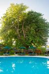 Hotel Equator Village Resort
