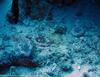 Hostal Boutique Beach All Inclusive Diving Hotel