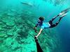 Hostal Sundive Lodge Maldives