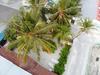 Hostal Sundive Lodge Maldives