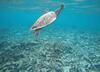 Hostal Sundive Lodge Maldives