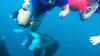 Hostal Sundive Lodge Maldives