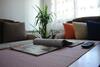 Ani Apartment 1