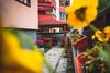 Skopje Downtown Hostel