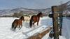 Agroturismo Nora`s Ranch