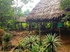 Hotel Omshanty Jungle Lodge