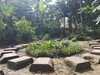 Hotel Omshanty Jungle Lodge