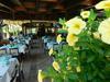 Hotel Gogov