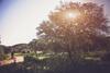 Rancho Tecate Resorts