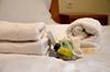 Villa Stay Ok Prishtina Boutique Hotel