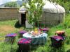 Guesthouse Gulmira