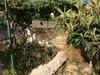 Apartamento Arjan Waterfall House