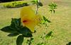 Agroturismo Morning Glory Villas