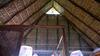 Hostal El Jardin Zipolite Bungalows