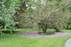 Bed & Breakfast St Albans House