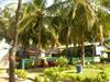 Hotel Big Milly's Backyard