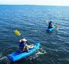 Hotel Palmlea Farms Lodge & Bures - Villas