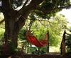 Hotel Palmlea Farms Lodge & Bures - Villas