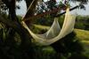 Hotel Palmlea Farms Lodge & Bures - Villas