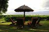 Hotel Palmlea Farms Lodge & Bures - Villas