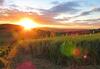 Agroturismo Mountain Oasis Farm Stay