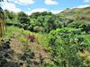 Agroturismo Mountain Oasis Farm Stay