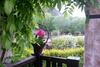Hostal Guest House Pekliuk