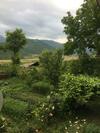 Anush`s B&B