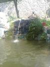 Apartamento Arthur Rest House