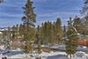 Black Bear Lodge (private Home)