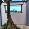 Hostal Pousada On Shore