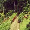 Mar Y Selva Ecolodge
