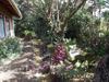 Bed & Breakfast Hotel Las Orquideas
