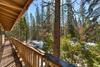 24b Bird's Eye View