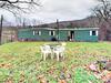 693 Reems Creek Home Home
