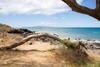 Apartamento Hale Kamaole #172