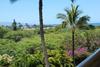 Maui Banyan Q409a & Q409